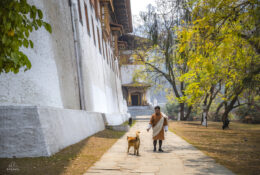 Bhutan_2025 (3/79)